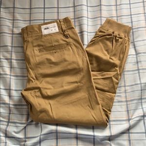 Publish Sprinter Jogger